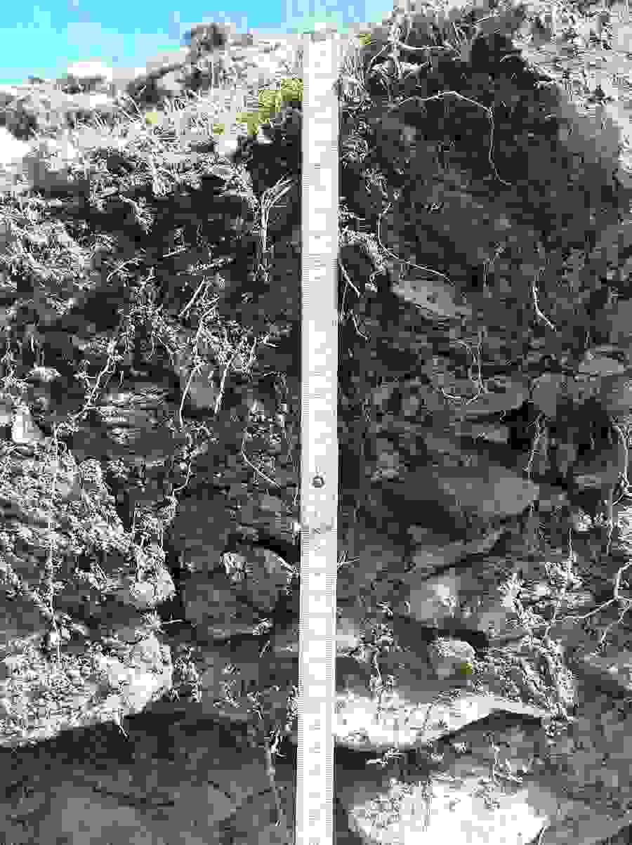 Section du sol dans la zone à corriger de la piste Leiterli-Stoss : régosol, acide, peu profond.