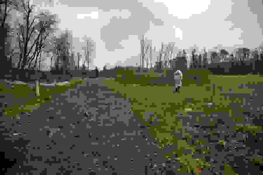 The landfill was in operation from 1952 to 1973, and the site is now overgrown.