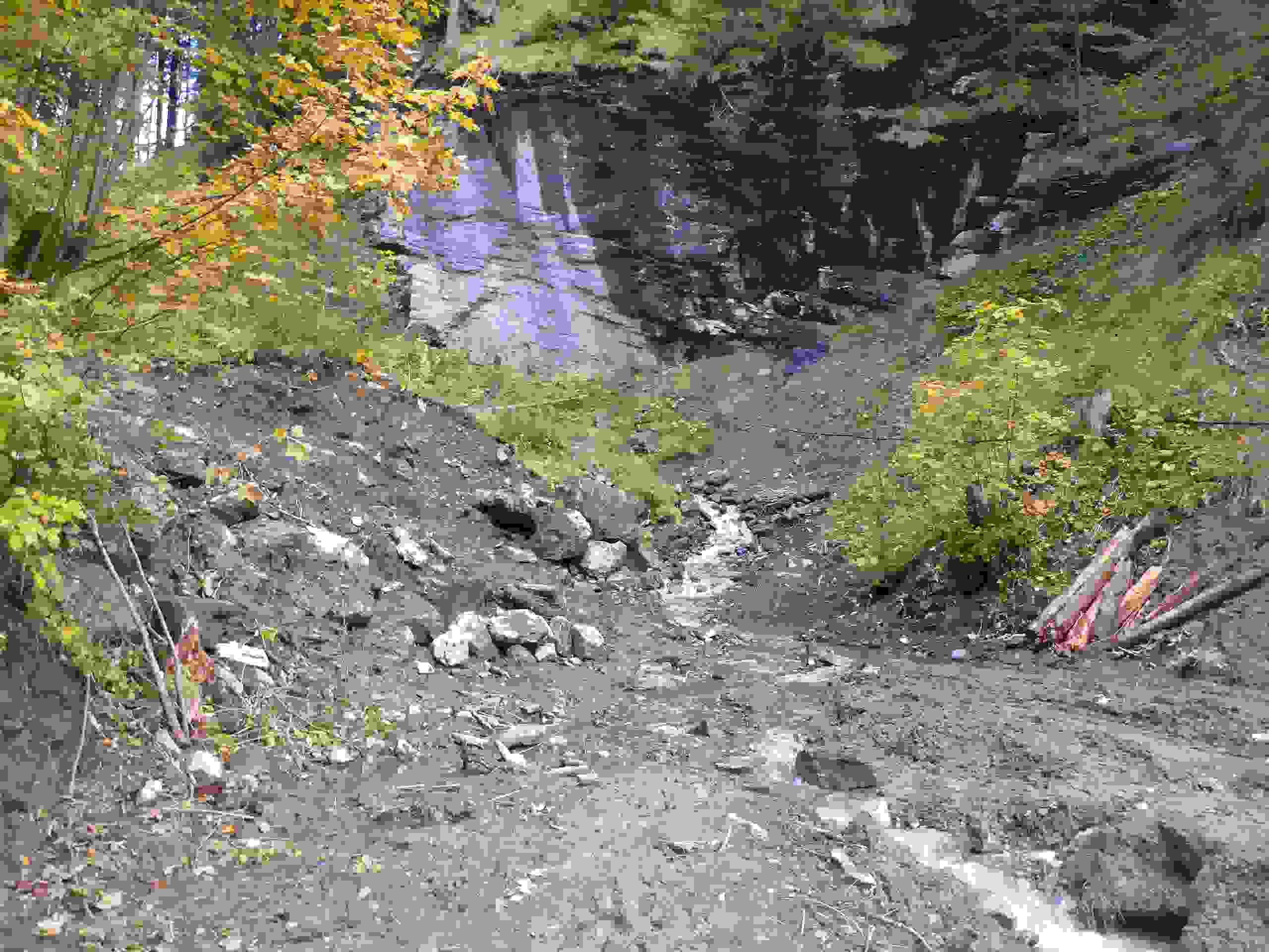 Site prévu pour la construction du dépotoir à alluvions.