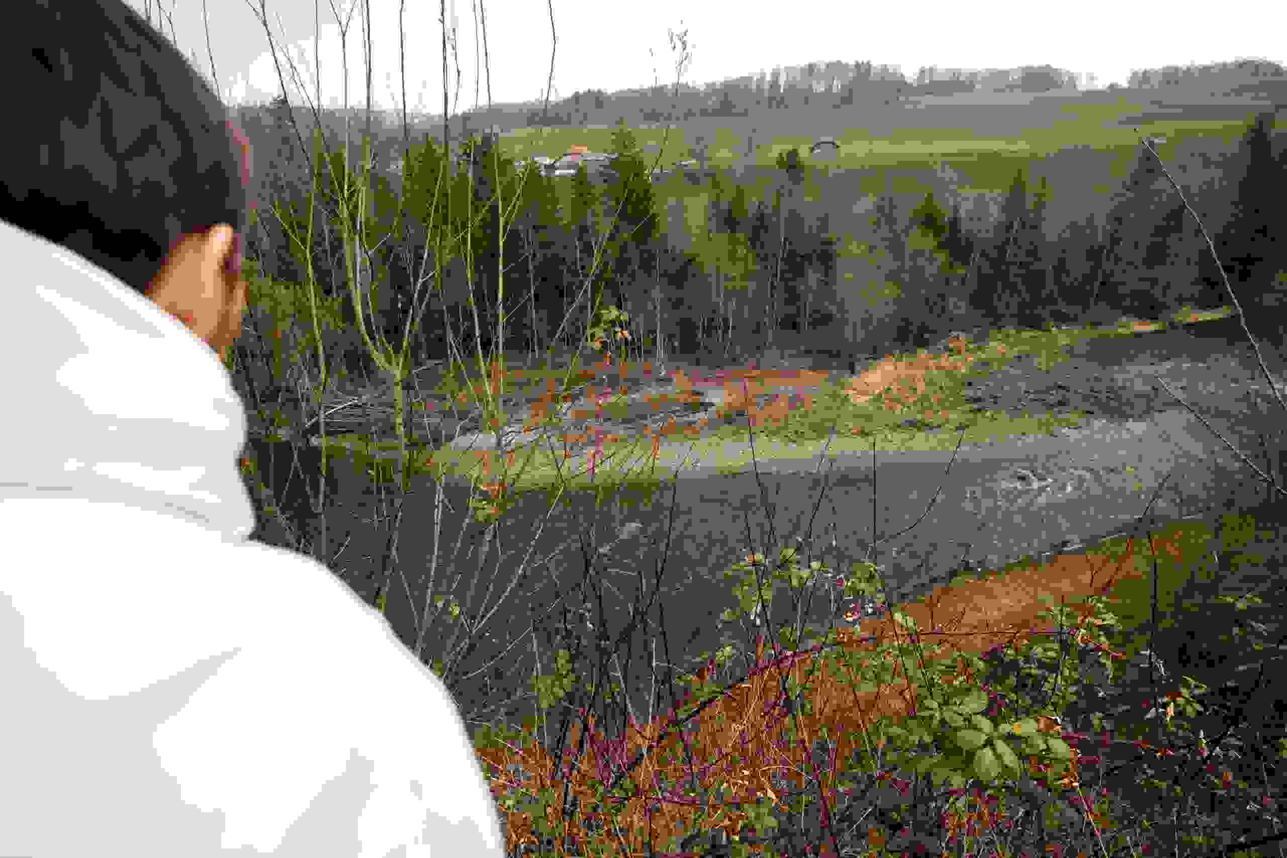 The view from the highest part of the landfill shows that a steep slope formed by waste overgrown with vegetation  leads directly to the banks of the Saane river.