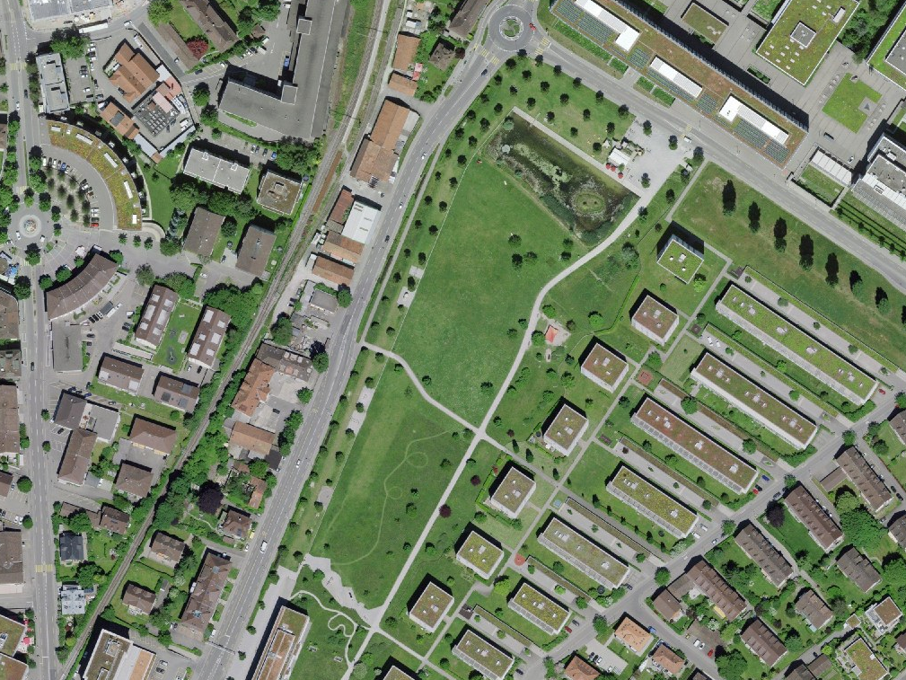 Das grüne Areal des Liebefeldparks in Bern inklusive Wasserfläche.