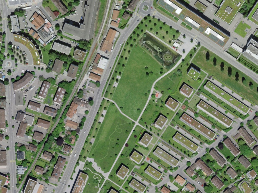 Das grüne Areal des Liebefeldparks in Bern inklusive Wasserfläche.