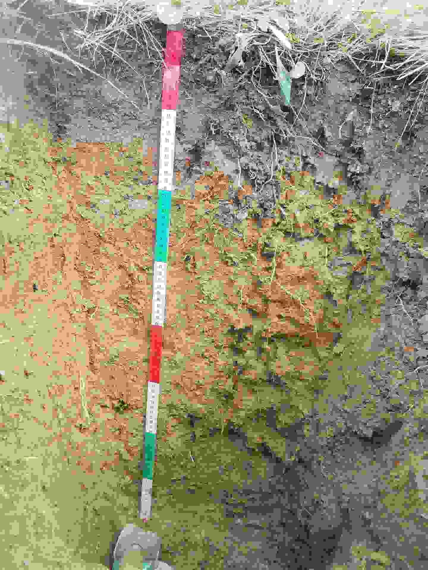 Deux sections de sol typiques: sol brun acide, faiblement pseudogleyique, dont la profondeur varie de relativement faible à importante dans la section du sol dans la zone du lac de rétention.