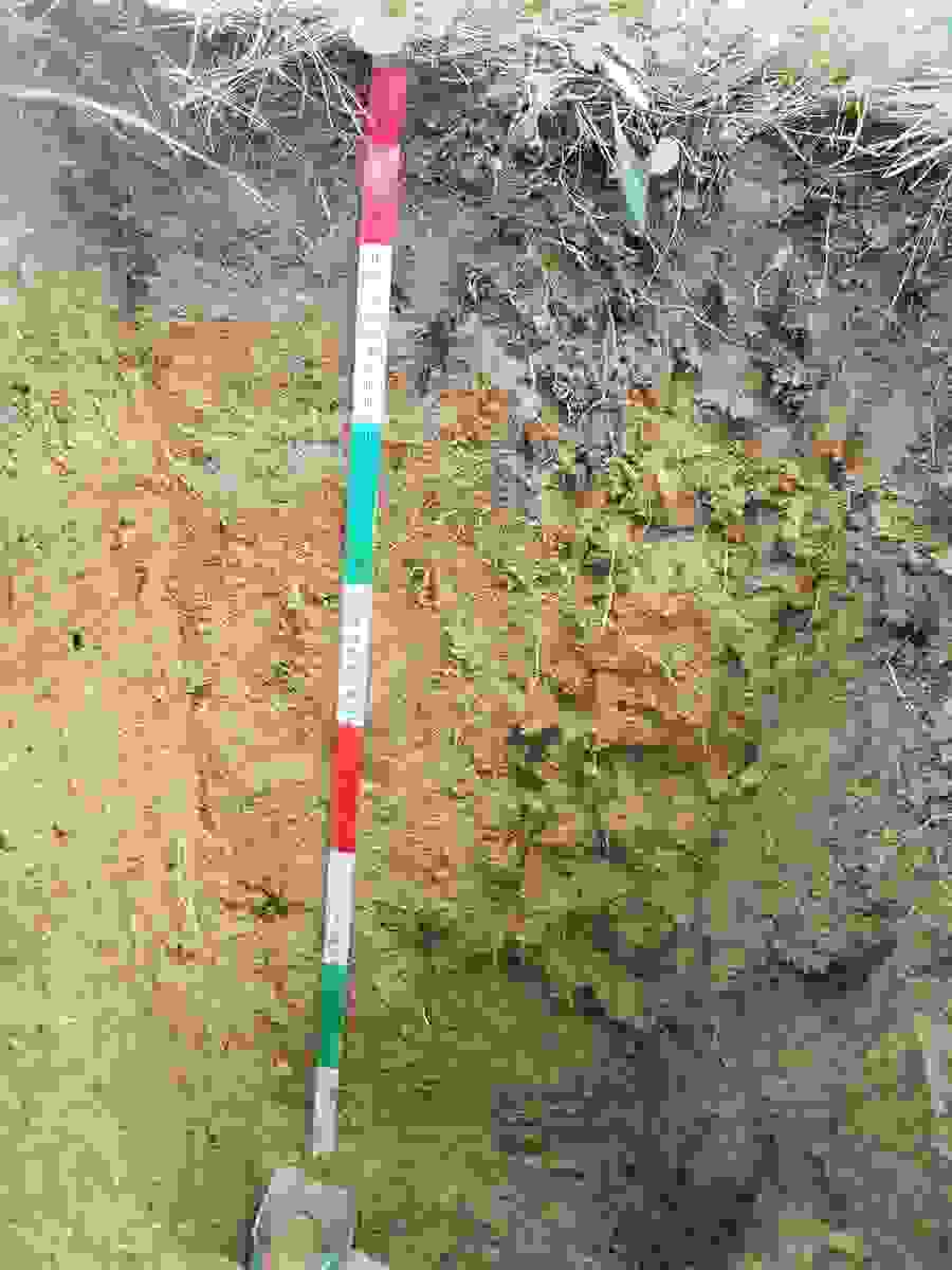 Deux sections de sol typiques: sol brun acide, faiblement pseudogleyique, dont la profondeur varie de relativement faible à importante dans la section du sol dans la zone du lac de rétention.