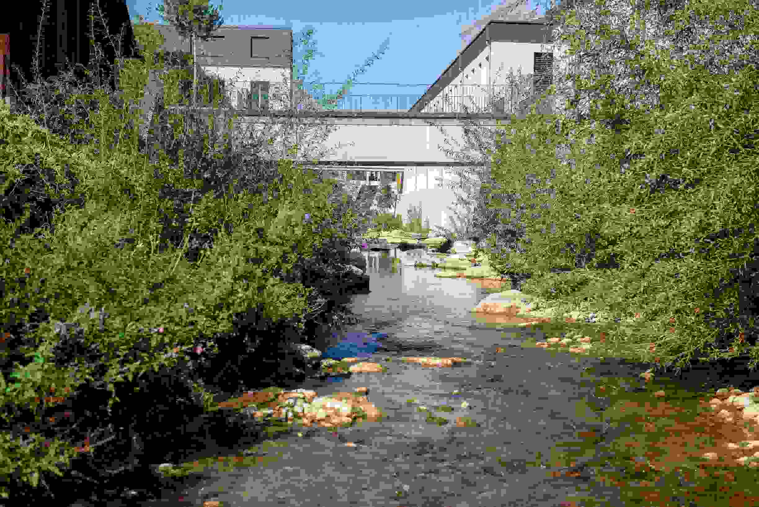 La biodiversité à la Lüssel a été accrue de façon déterminante