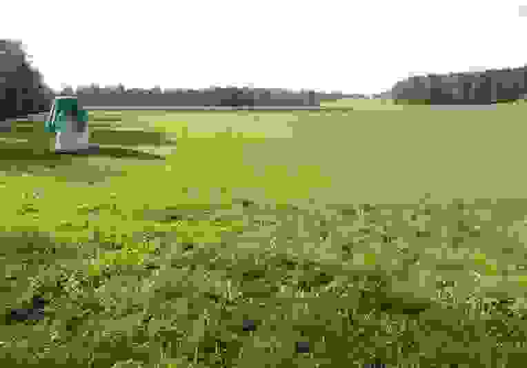 Périmètre du projet Allmend de Hausen (photo: ilu AG).