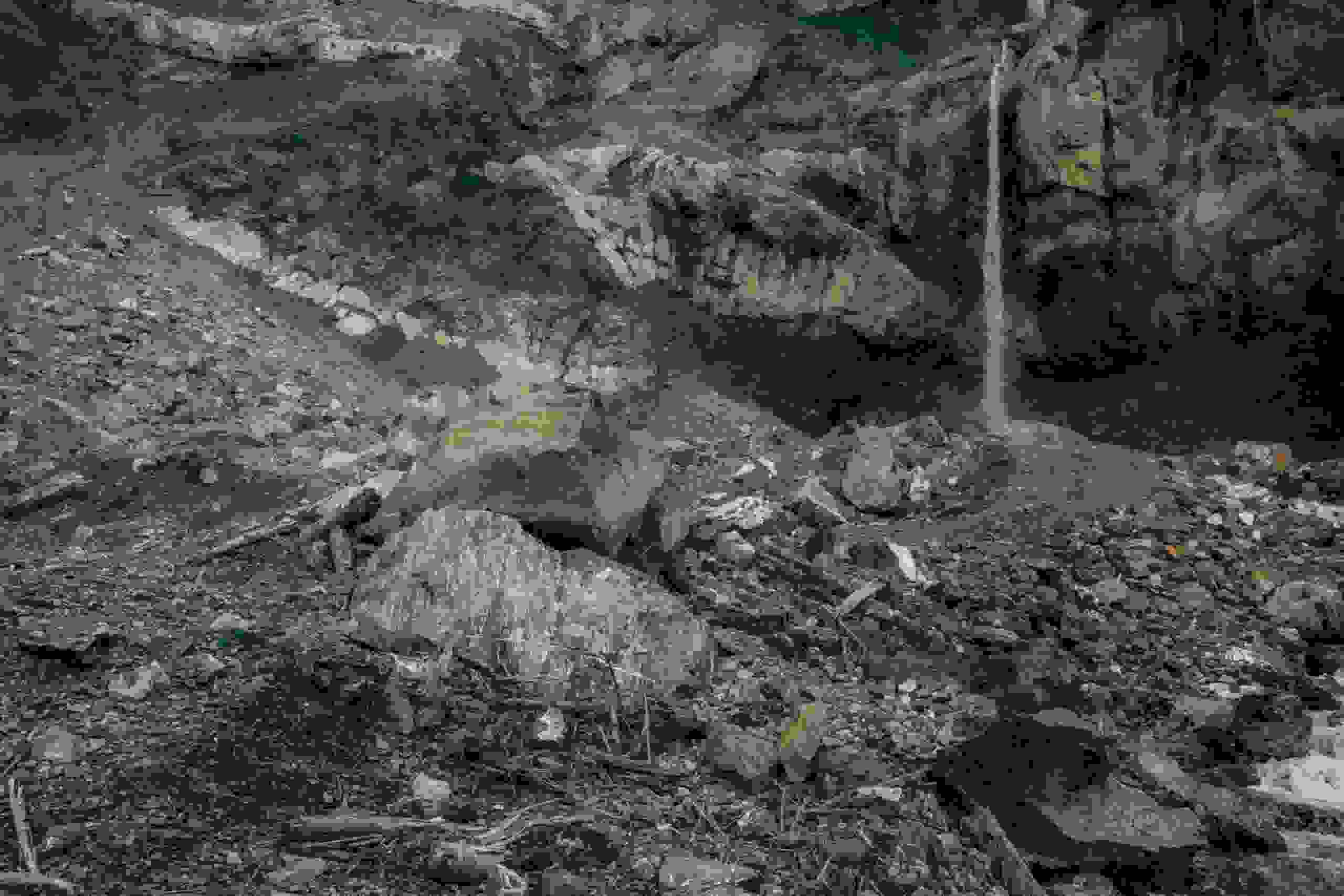 geotest_wb_messetechnik_25_kandersteg-89.jpg