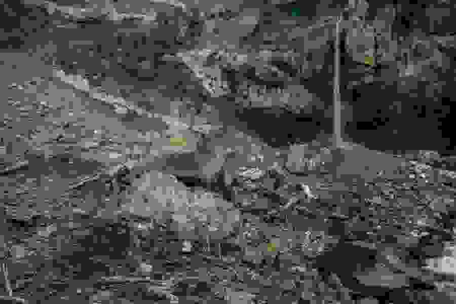 geotest_wb_messetechnik_25_kandersteg-89.jpg