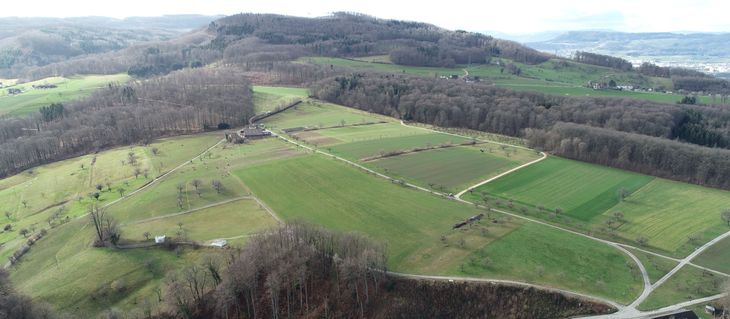 dji_0129_header.jpg