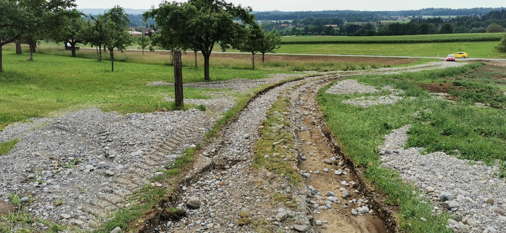 oberflaechenwasser_erosion_feldweg.png