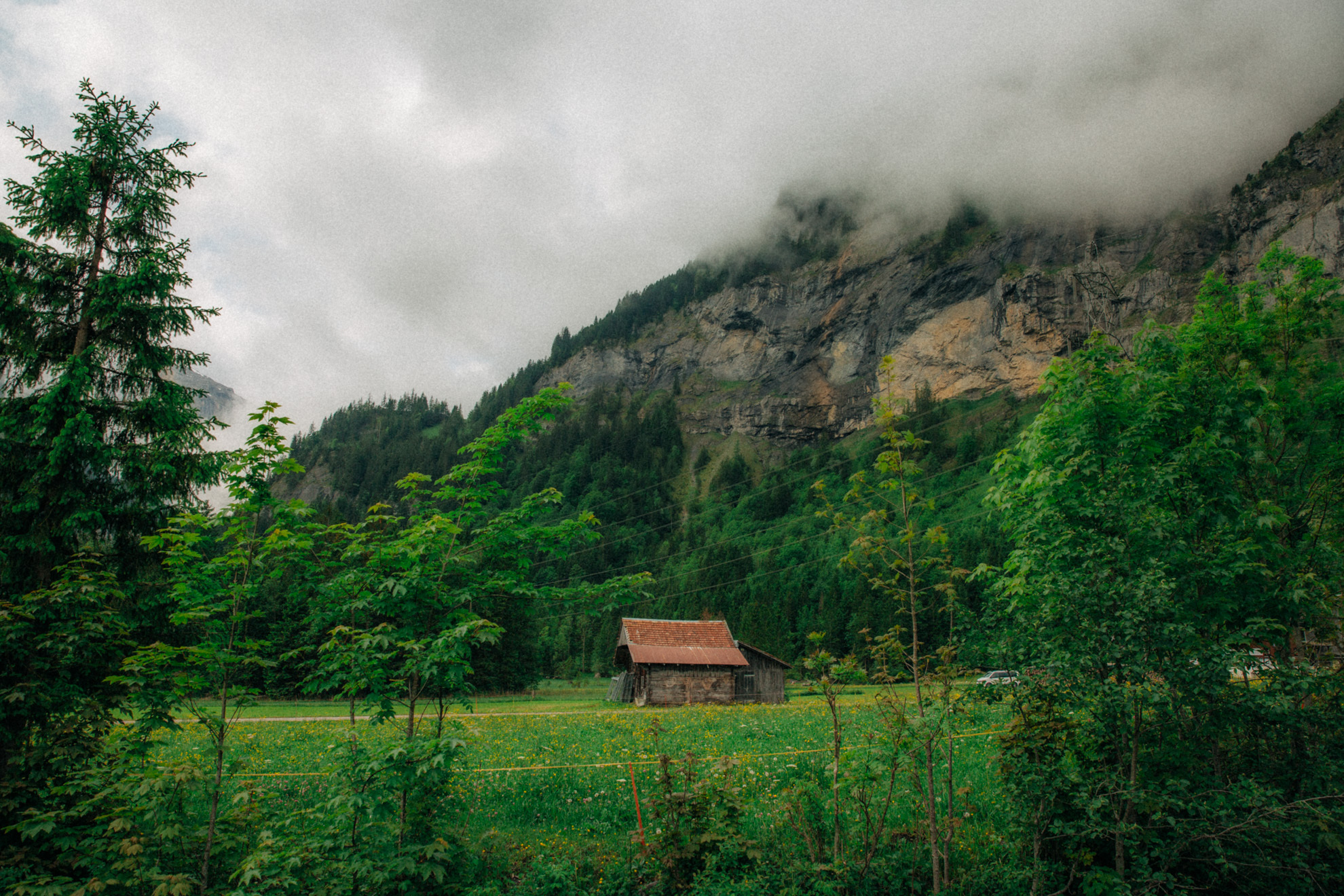 wb_messtechnik_2025-57.jpg Une pure idylle.