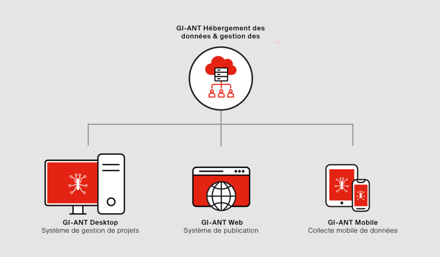Grafik GI-ANT Grafik GI-ANT