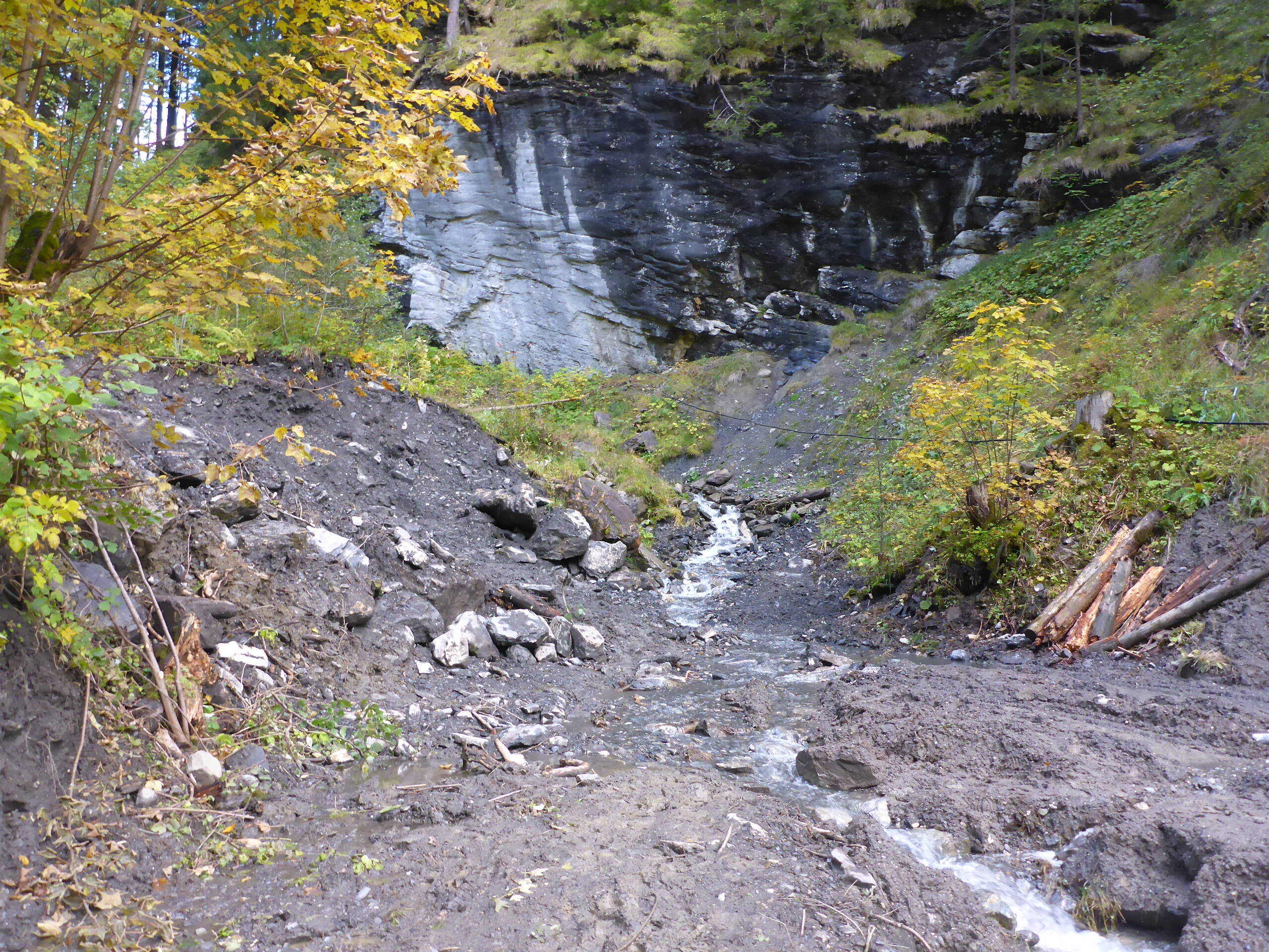 Der geplante Standort für den Bau des Geschiebesammlers.
