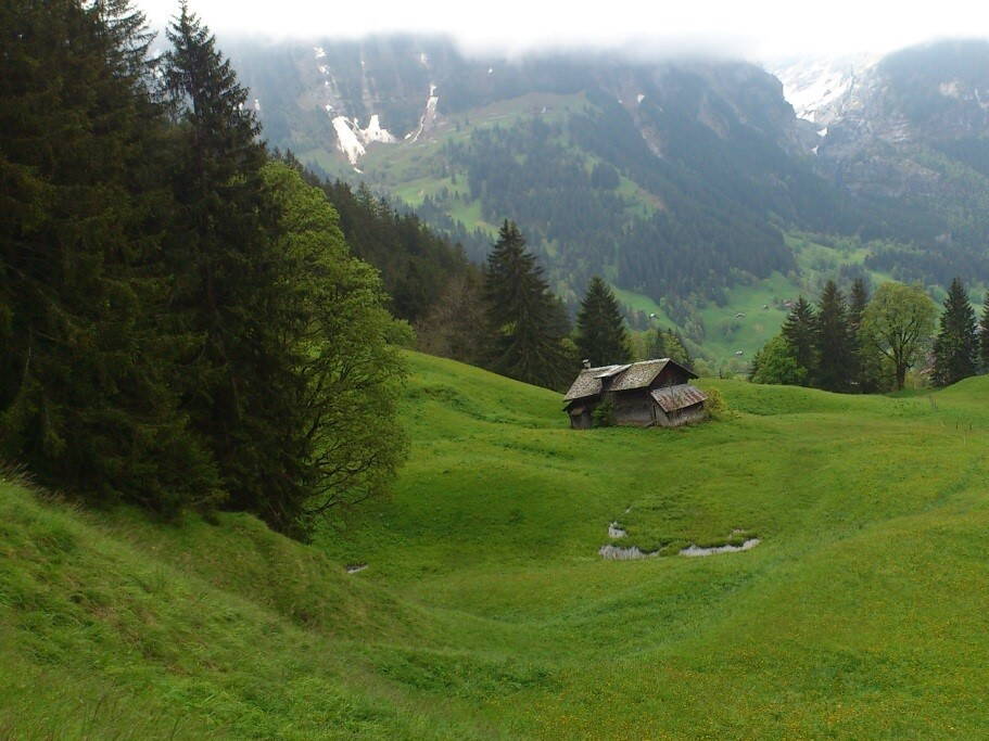 Anrissbereich der Rutschung Chratzera in Grindelwald. Anrissbereich der Rutschung Chratzera in Grindelwald.