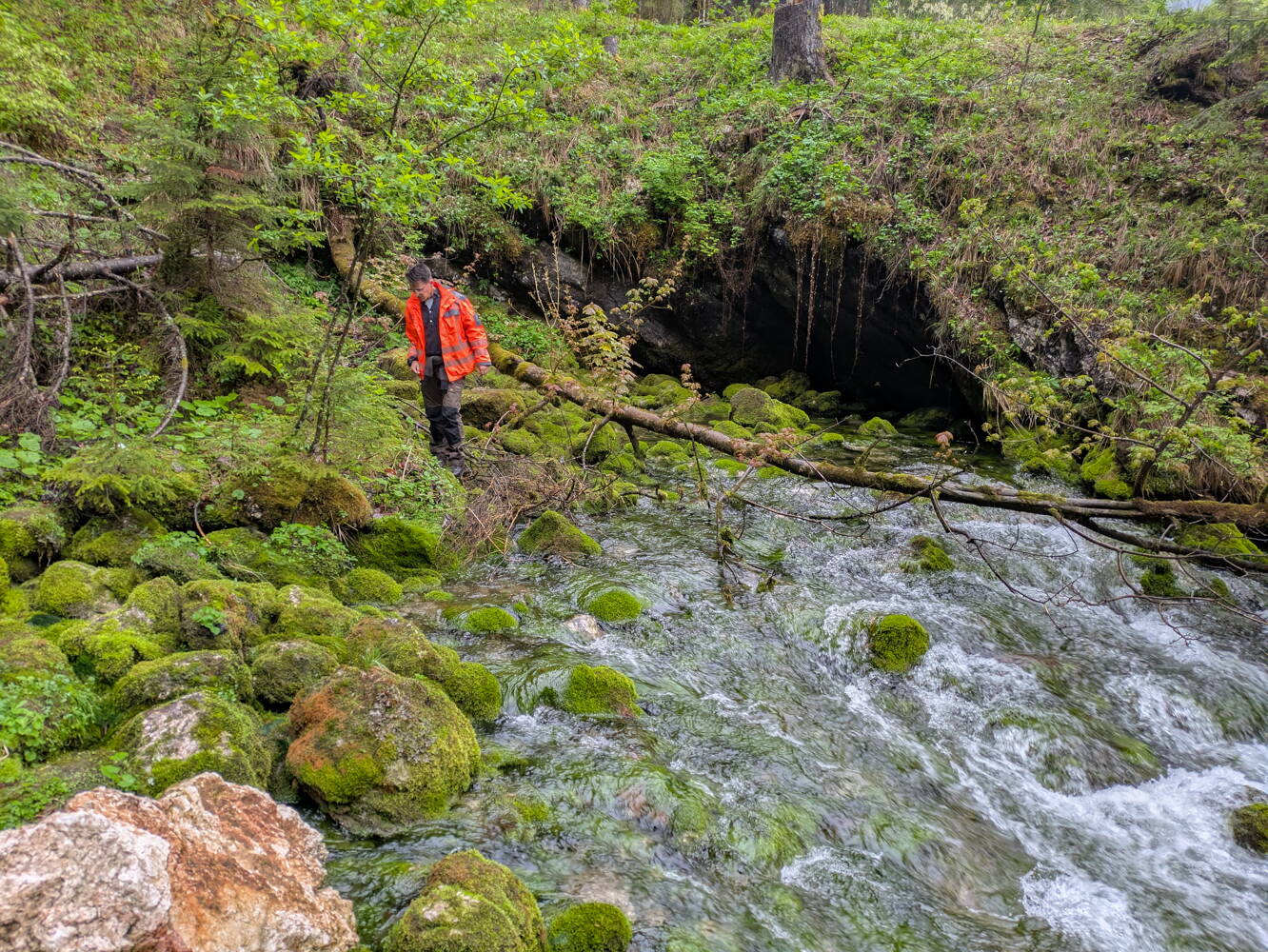 Die Landschaft ist entstanden nach dem Rückzug der Gletscher vor 12’000 Jahren. Die Landschaft ist entstanden nach dem Rückzug der Gletscher vor 12’000 Jahren.