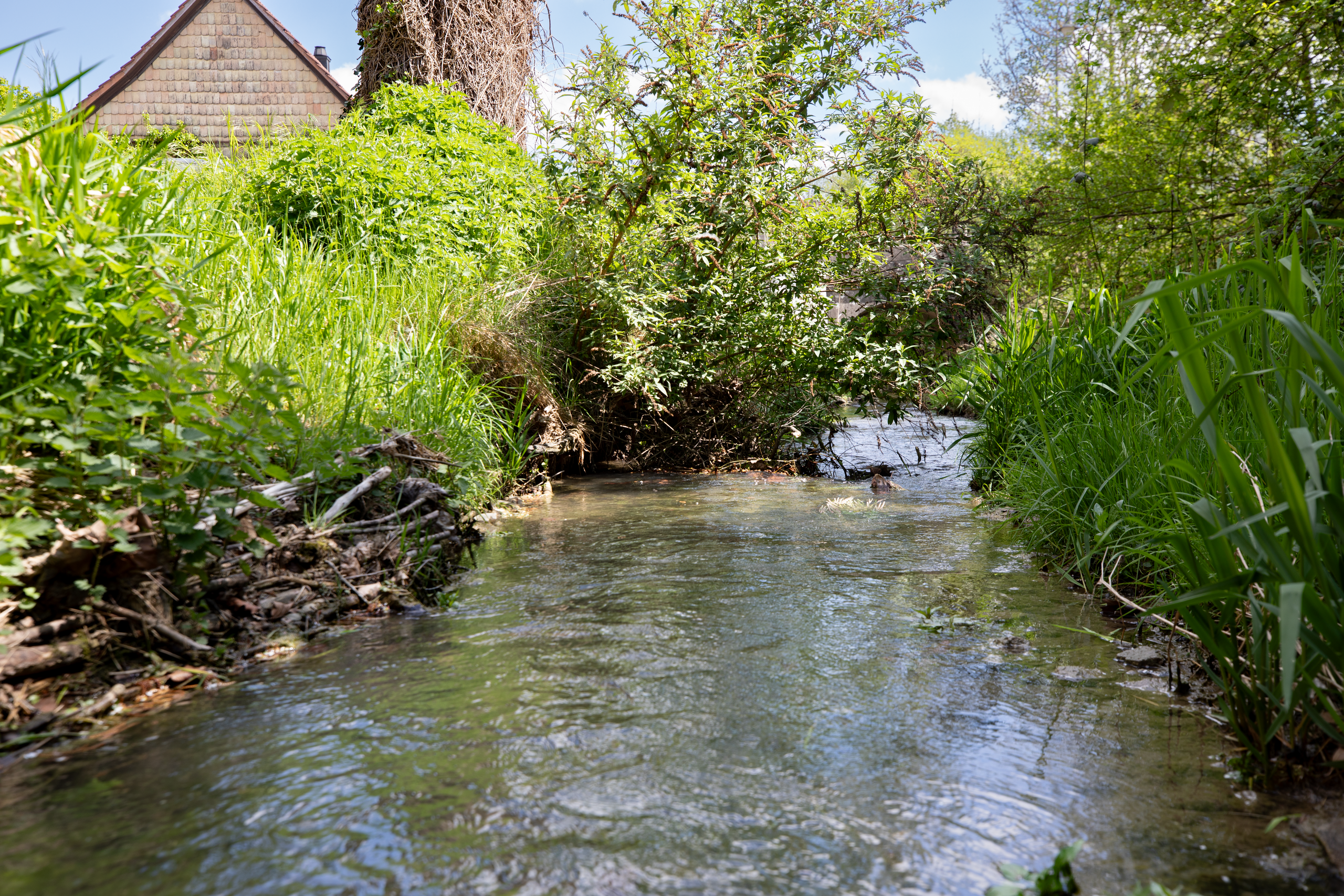 Le Haumesserbach, réaménagé, s'intègre aujourd'hui parfaitement dans le nouveau lotissement, pour le plus grand plaisir des riverains. Le Haumesserbach, réaménagé, s'intègre aujourd'hui parfaitement dans le nouveau lotissement, pour le plus grand plaisir des riverains.
