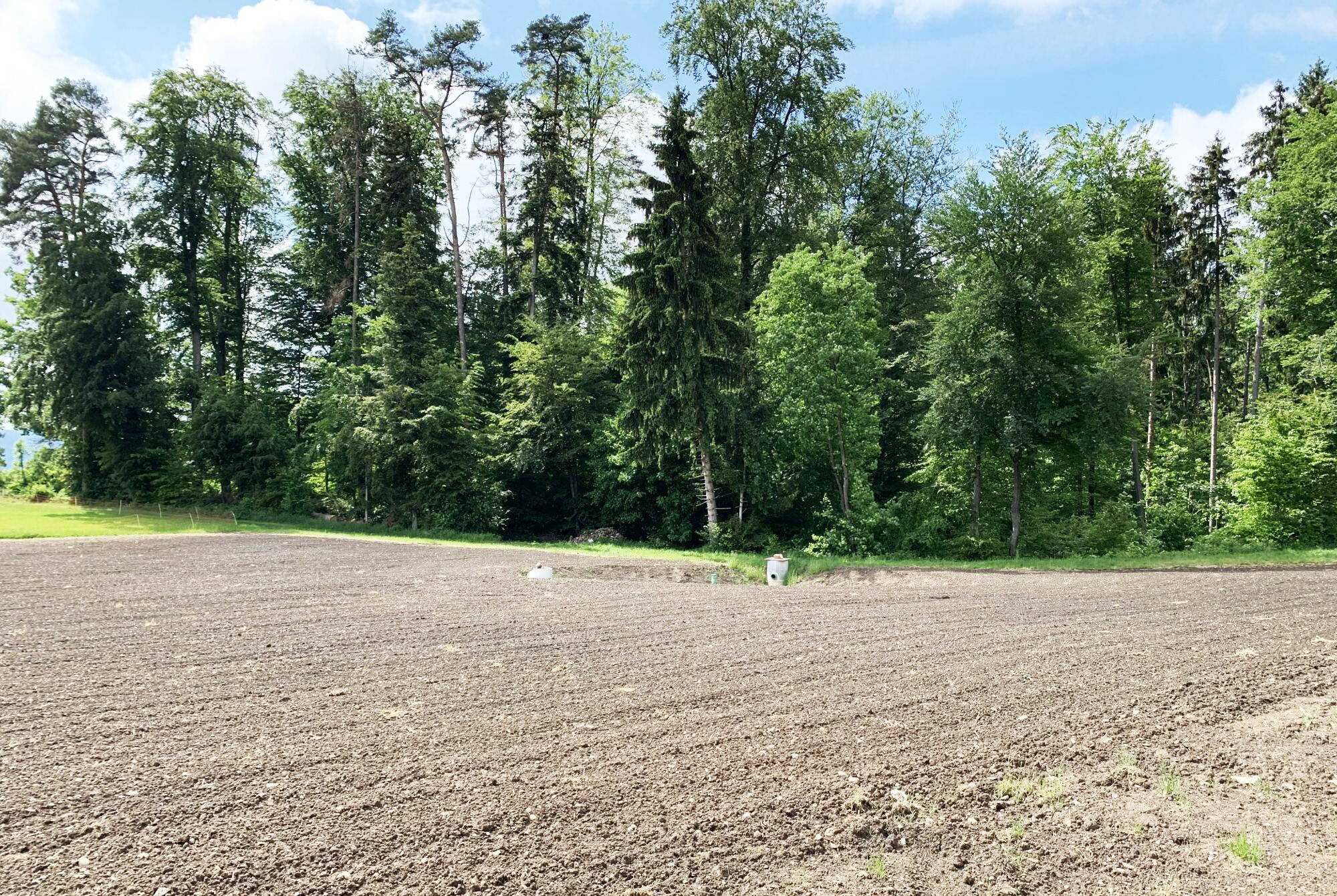 The recultivated area is sown with a lucerne/clover recultivation mixture. The recultivated area is sown with a lucerne/clover recultivation mixture.