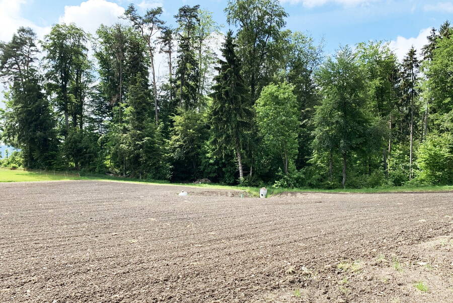 The recultivated area is sown with a lucerne/clover recultivation mixture.