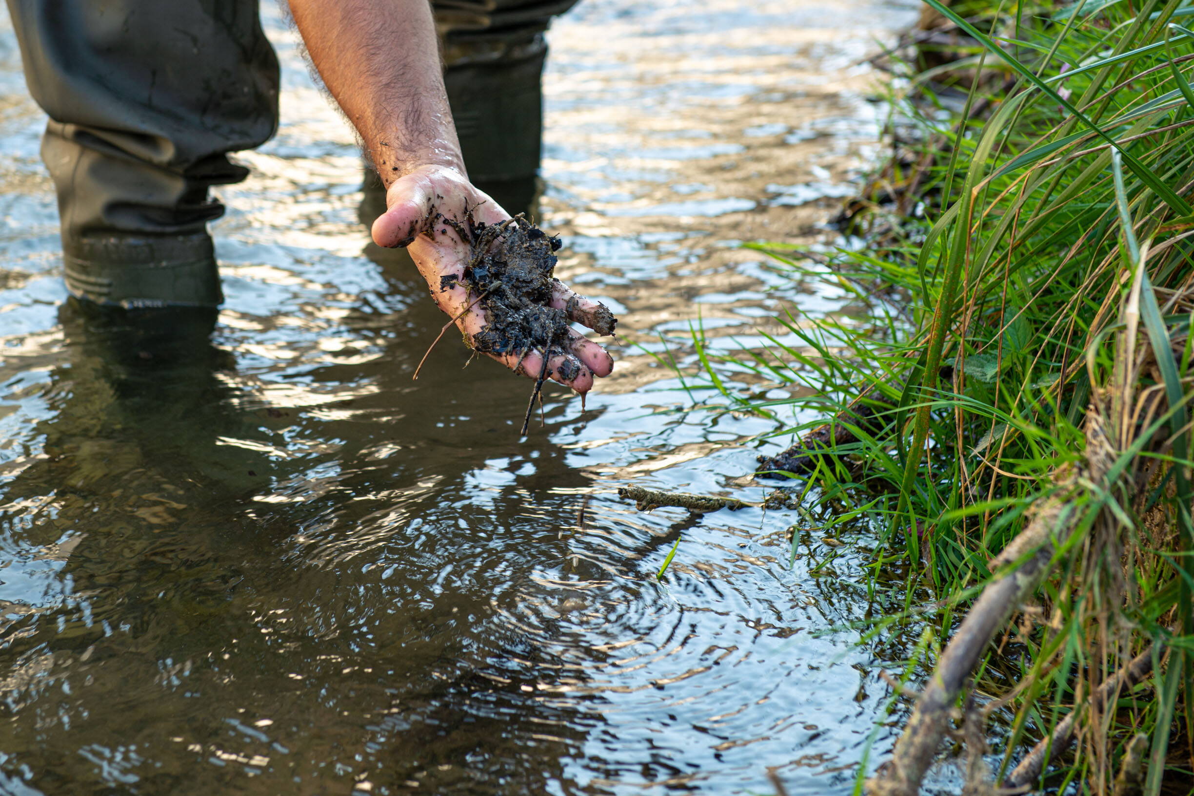 Les poissons profitent d'un habitat amélioré, plus riche en nourriture. Les poissons profitent d'un habitat amélioré, plus riche en nourriture.