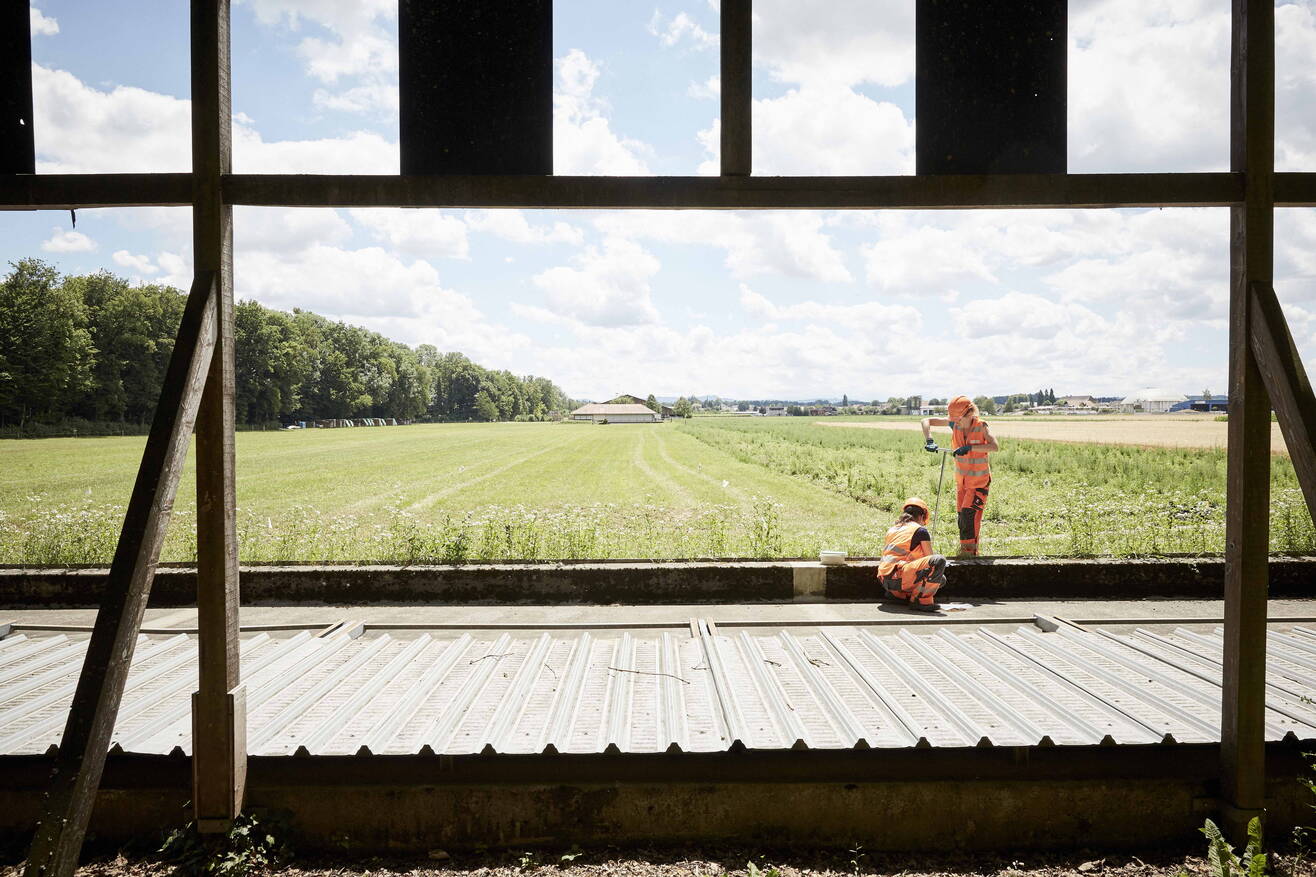 Environment + Contamination Environment + Contamination