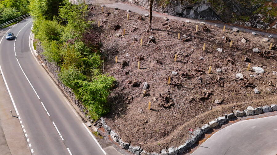Ein Jahr später befindet sich die Vegetation auf der Böschung in der Anwuchsphase. Ein Jahr später befindet sich die Vegetation auf der Böschung in der Anwuchsphase.