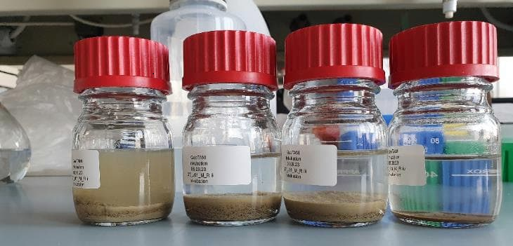 Die Deponie war von 1952 bis 1973 in Betrieb, heute ist sie bewachsen. 