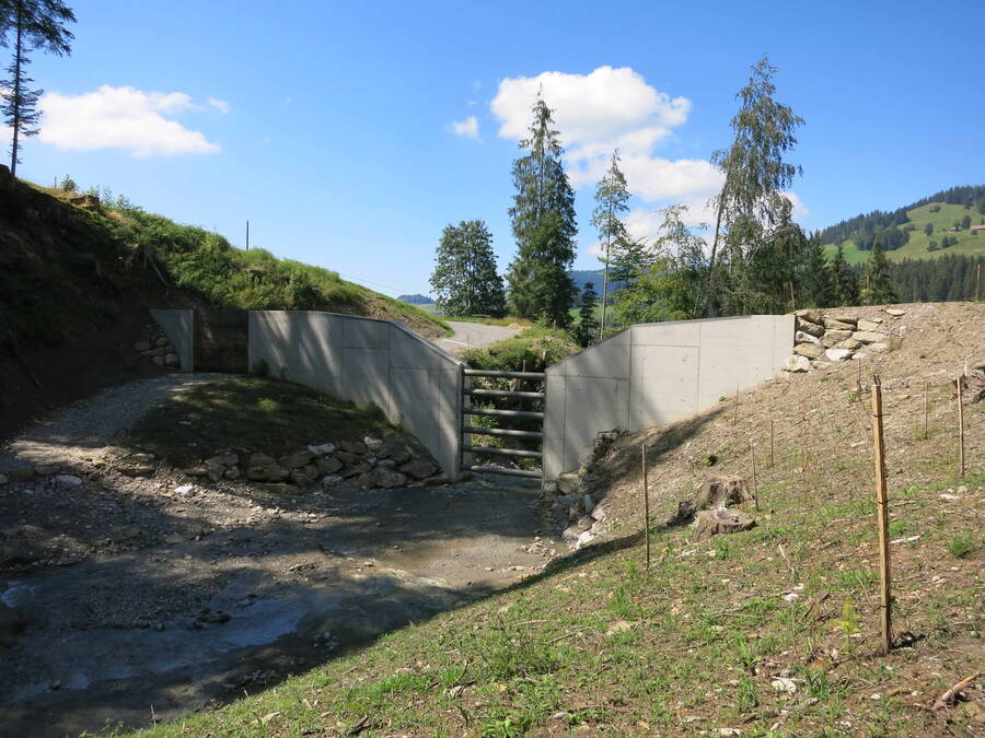 Der Geschiebesammler Büetschligraben mit der Zufahrt durch das Sperrenbauwerk auf der linken Seite.