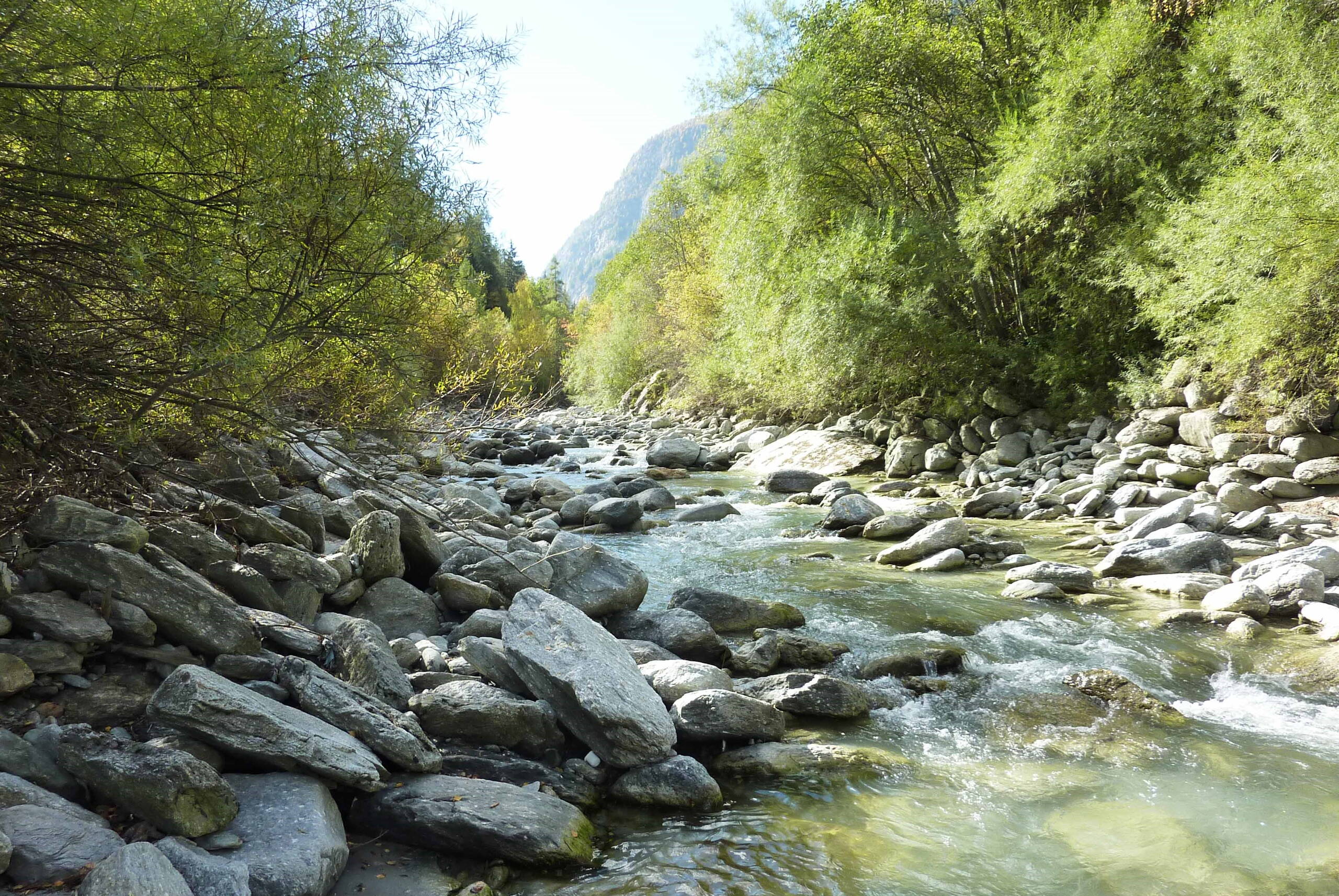 La Viège de Zermatt dans les environs de Balmatten.