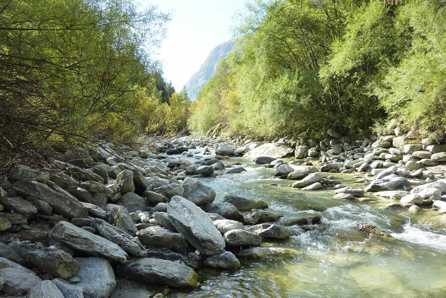 Die Mattervispa im Bereich Balmatten. Die Mattervispa im Bereich Balmatten.
