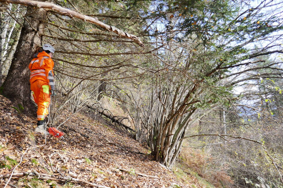 Geophysics When a village slides – and what geophysics has to do with it