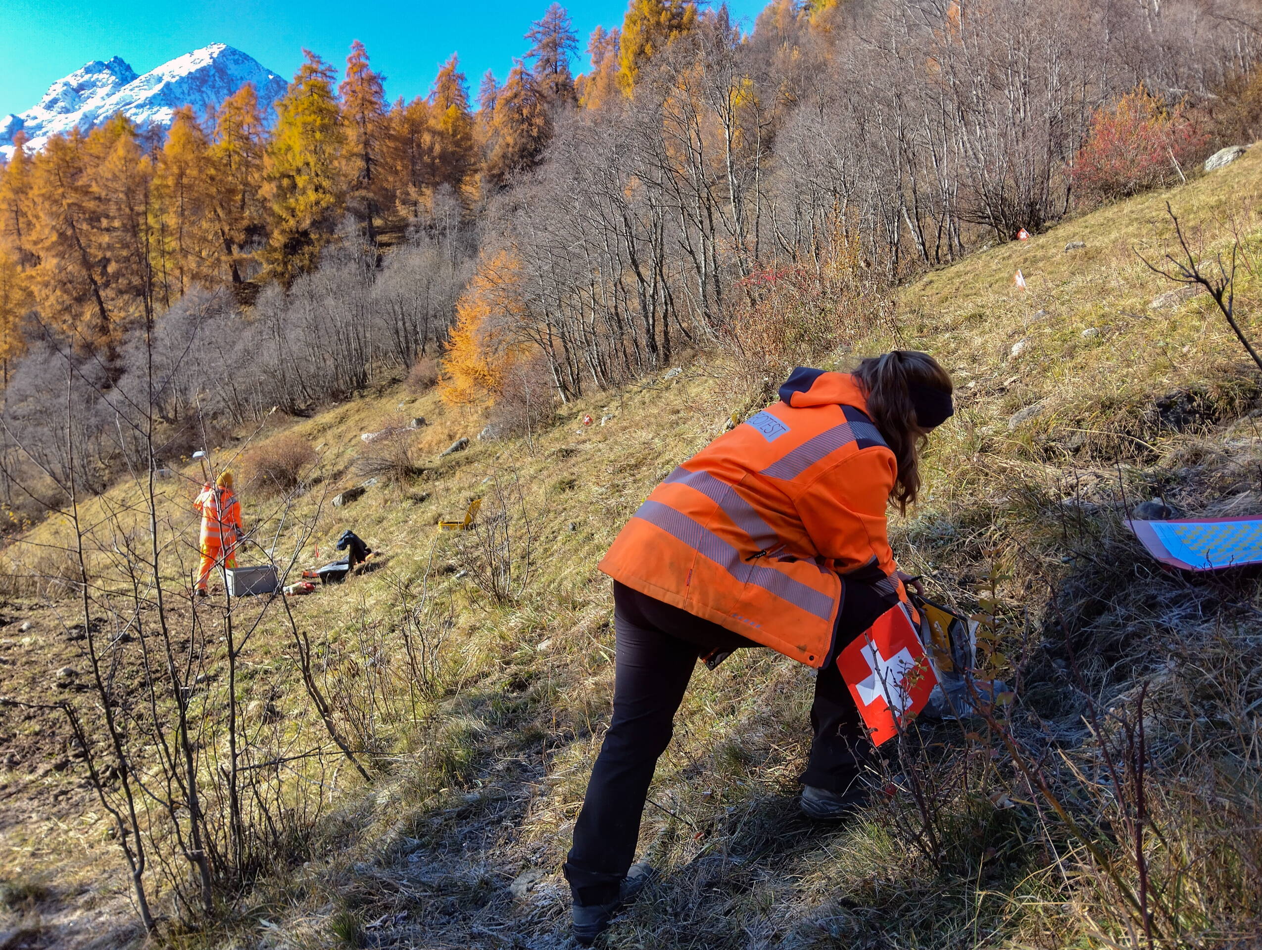 ...werden die Bodenproben direkt im Gelände analysiert. ...werden die Bodenproben direkt im Gelände analysiert.