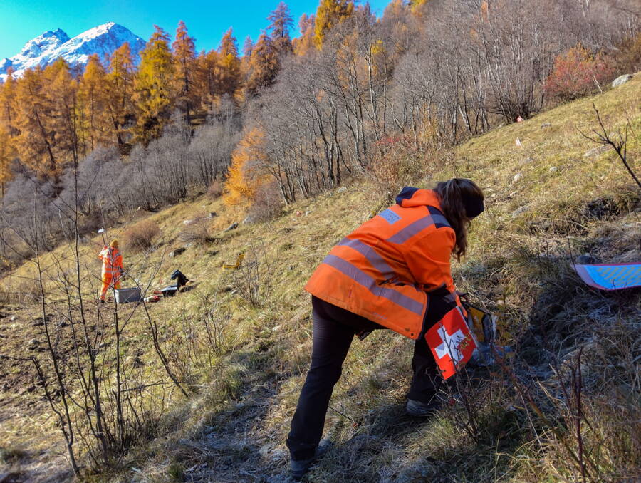 ...werden die Bodenproben direkt im Gelände analysiert. 