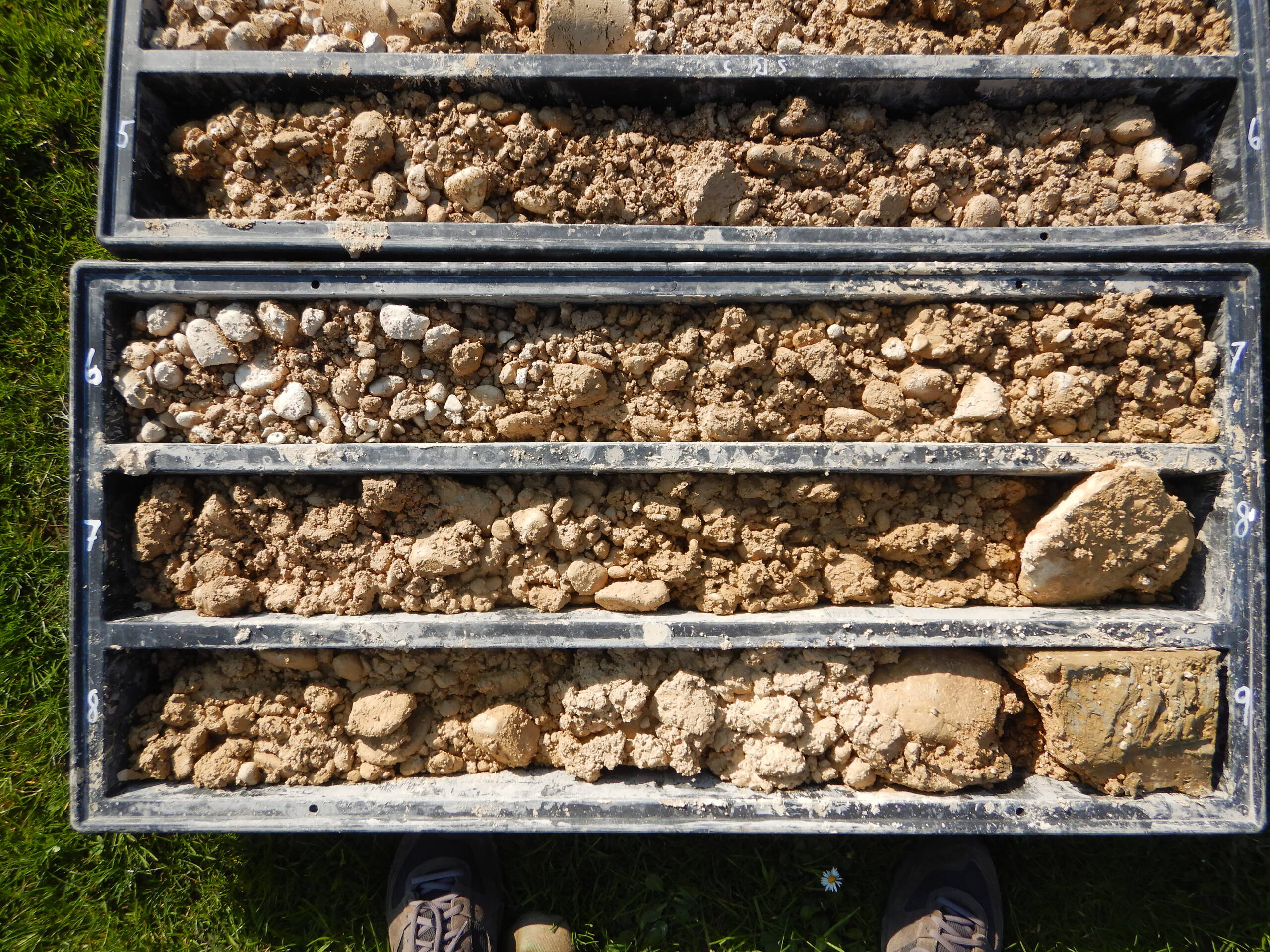 Ersatz Grundwasserbrunnen  Die Niederterrassenschotter stellen den lokalen Grundwasserleiter dar. In einer Tiefe von 8.8 m unter Geländeoberkante folgt die Felsoberfläche (Tüllinger-Schichten, rechts unten in der Bohrkiste).