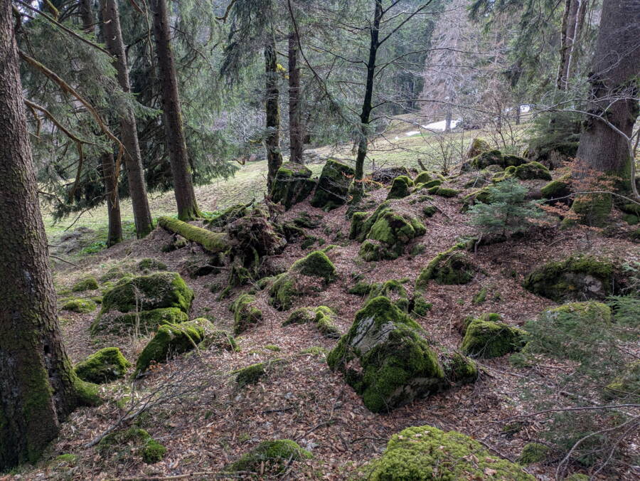 Bemooste Steinbrocken im Wald unterhalb der Wandflue zeugen von ähnlichen Ausbrüchen in der Vergangenheit. Bemooste Steinbrocken im Wald unterhalb der Wandflue zeugen von ähnlichen Ausbrüchen in der Vergangenheit.