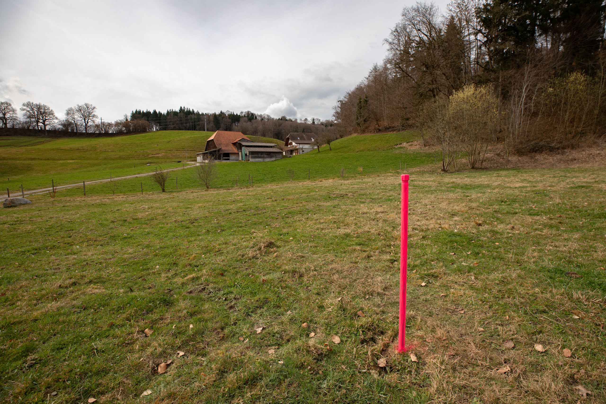 Piezometer