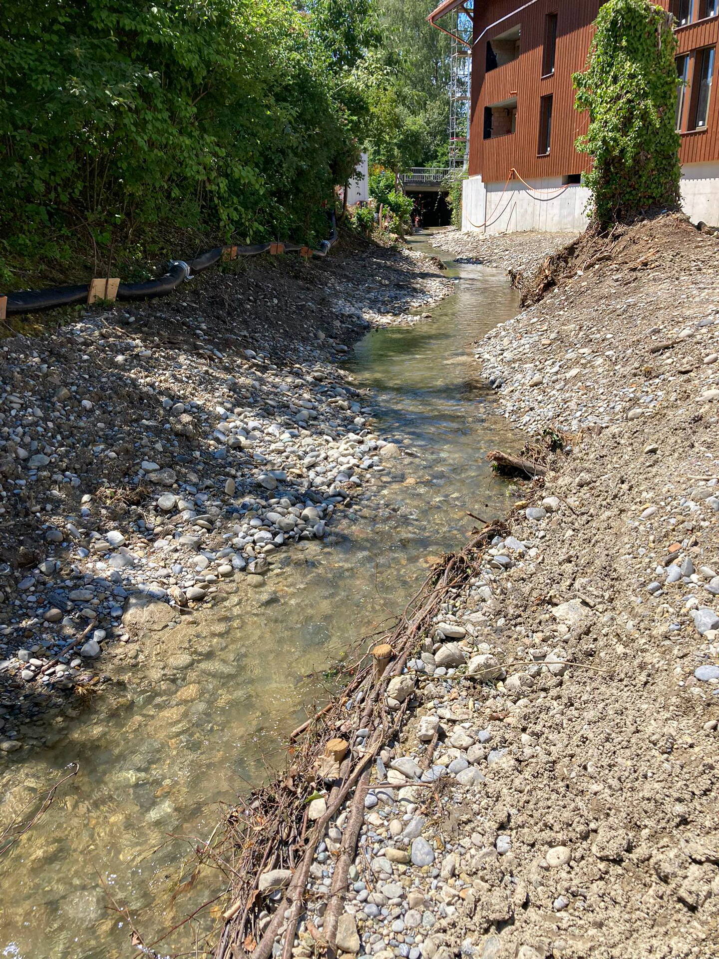Le nouveau lit du cours d’eau comporte désormais des bancs de gravier sur les deux rives, des fascines destinées à stabiliser les berges et favoriser les habitats, ainsi que davantage de bois mort. Le nouveau lit du cours d’eau comporte désormais des bancs de gravier sur les deux rives, des fascines destinées à stabiliser les berges et favoriser les habitats, ainsi que davantage de bois mort.