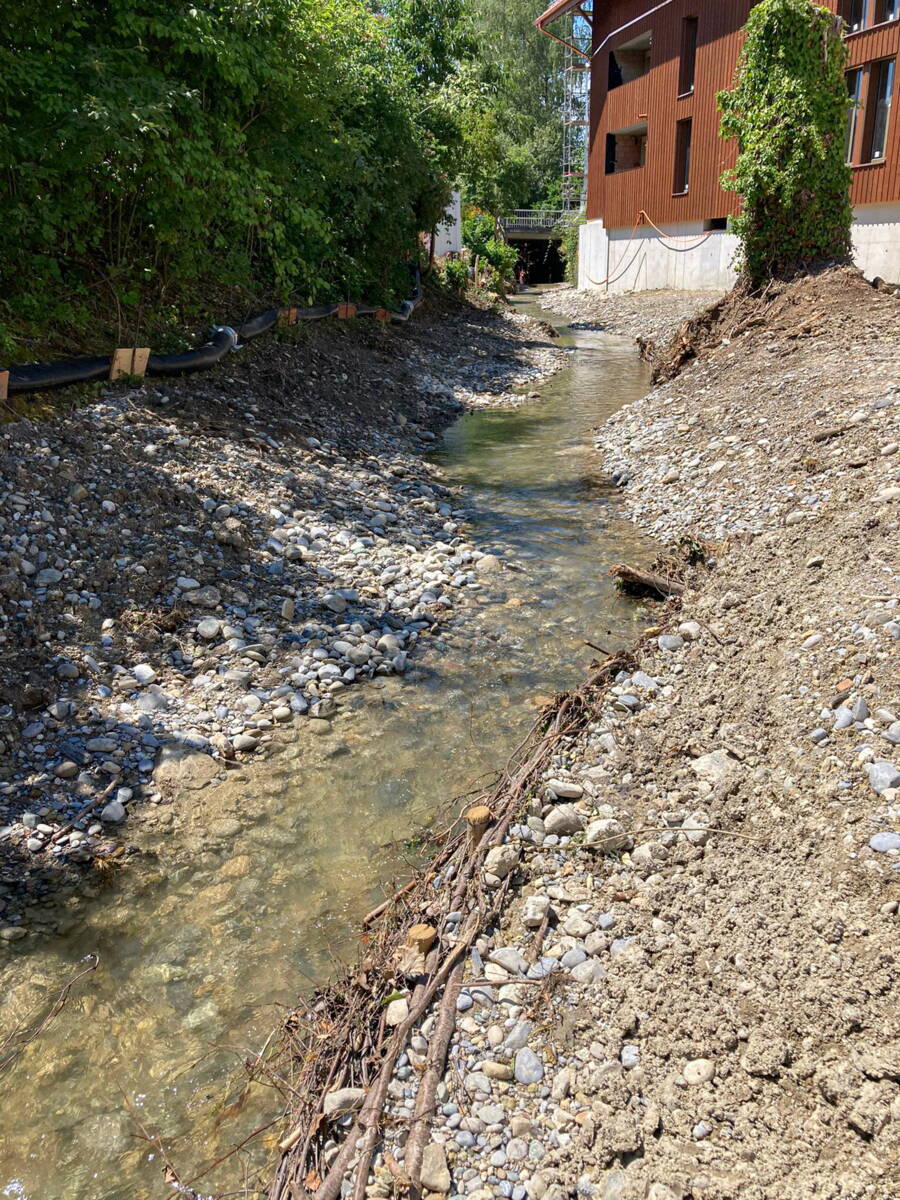Le nouveau lit du cours d’eau comporte désormais des bancs de gravier sur les deux rives, des fascines destinées à stabiliser les berges et favoriser les habitats, ainsi que davantage de bois mort. Le nouveau lit du cours d’eau comporte désormais des bancs de gravier sur les deux rives, des fascines destinées à stabiliser les berges et favoriser les habitats, ainsi que davantage de bois mort.
