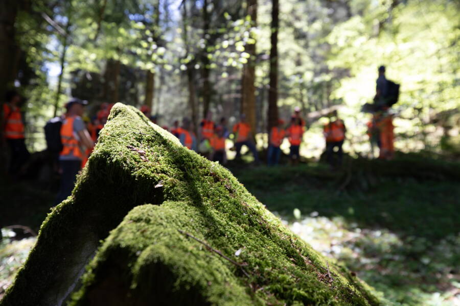 Les blocs de roche présents sur le terrain témoignent d'événements passés.   Les blocs de roche présents sur le terrain témoignent d'événements passés.
