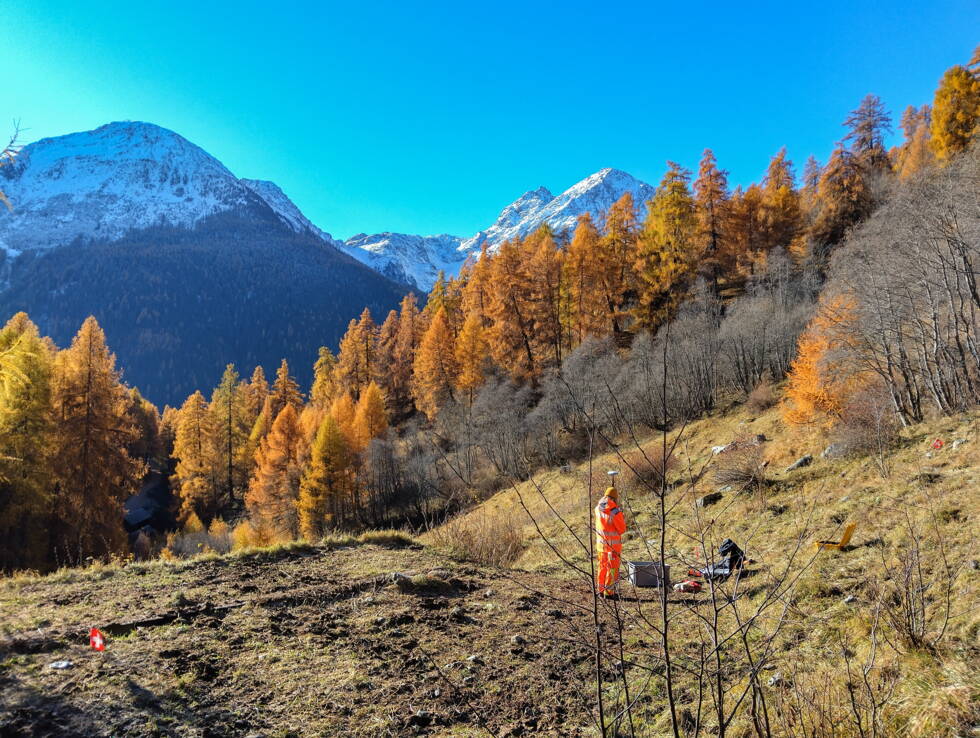 Tragwerksanalyse als Machbarkeitsstudie einer geplanten Aufstockung