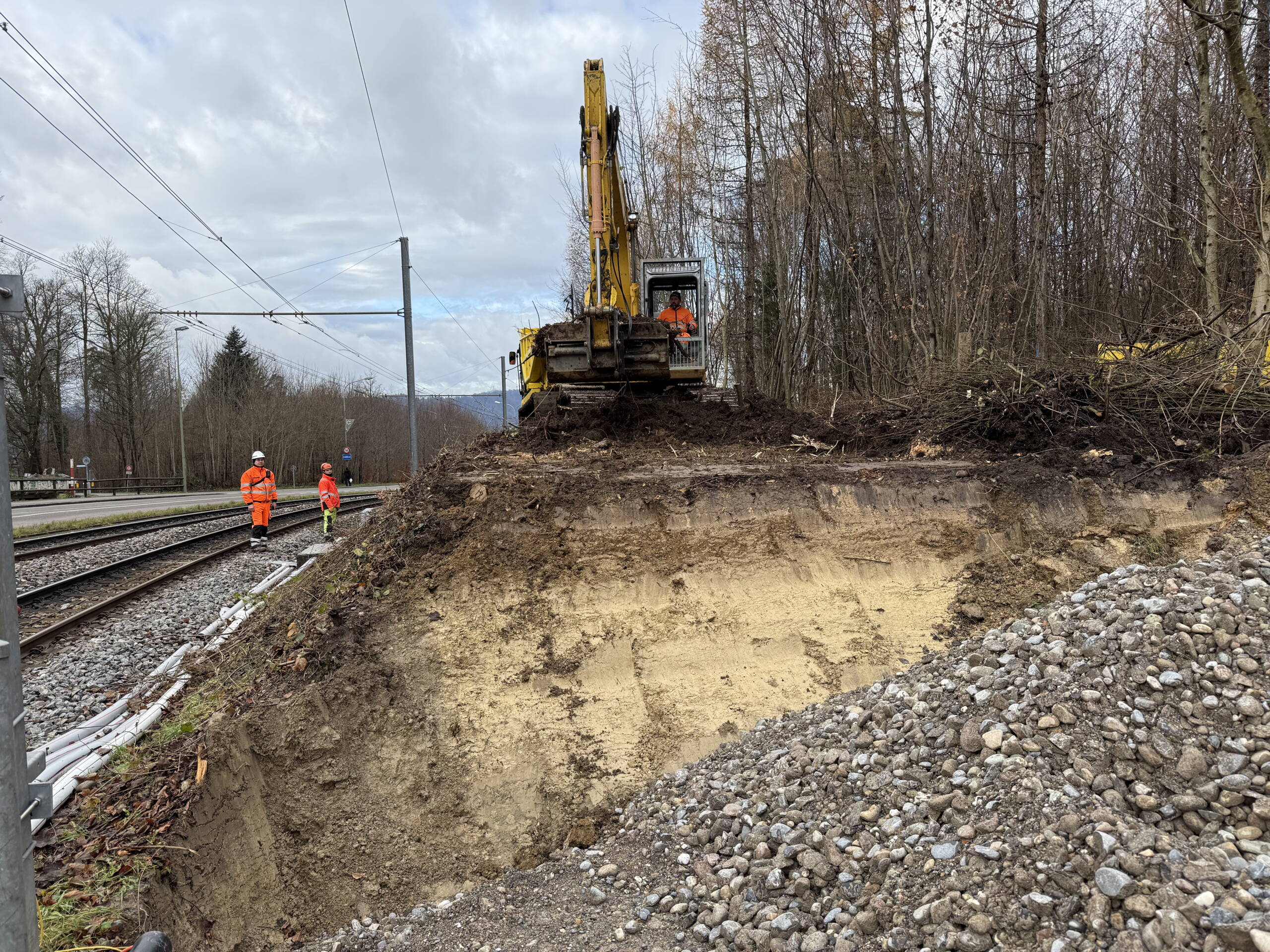 The layers of the soil structure are clearly visible where the soil has been excavated. The layers of the soil structure are clearly visible where the soil has been excavated.