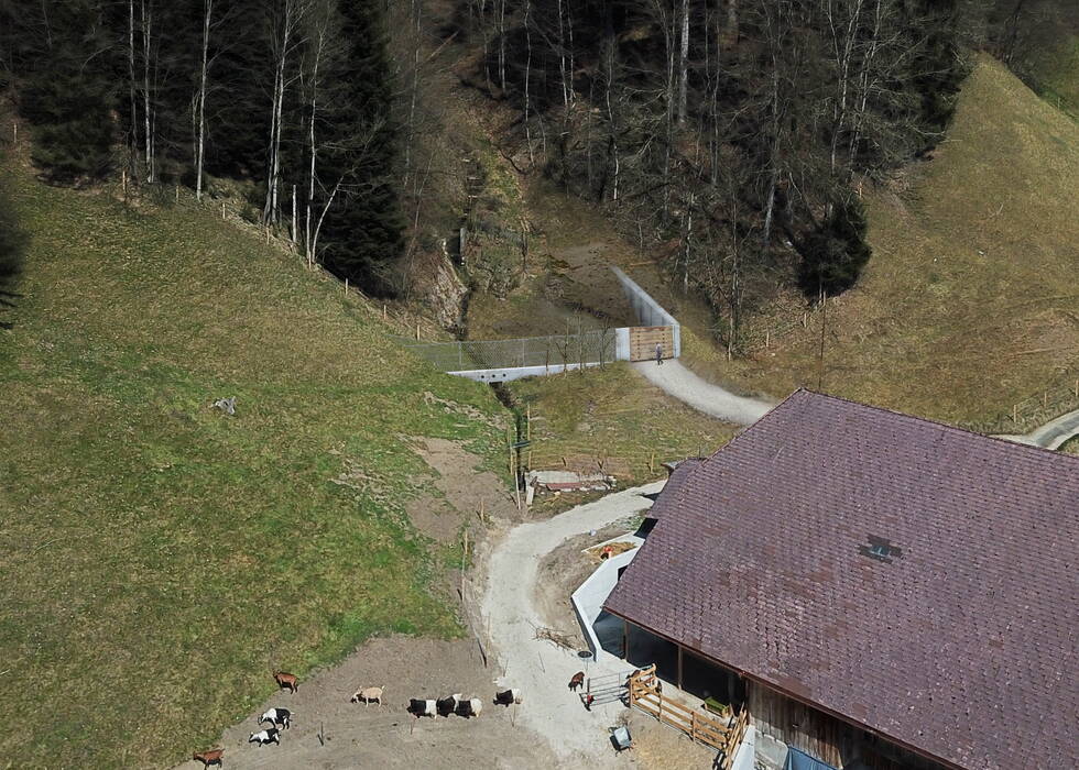 Visualisierungs Netz