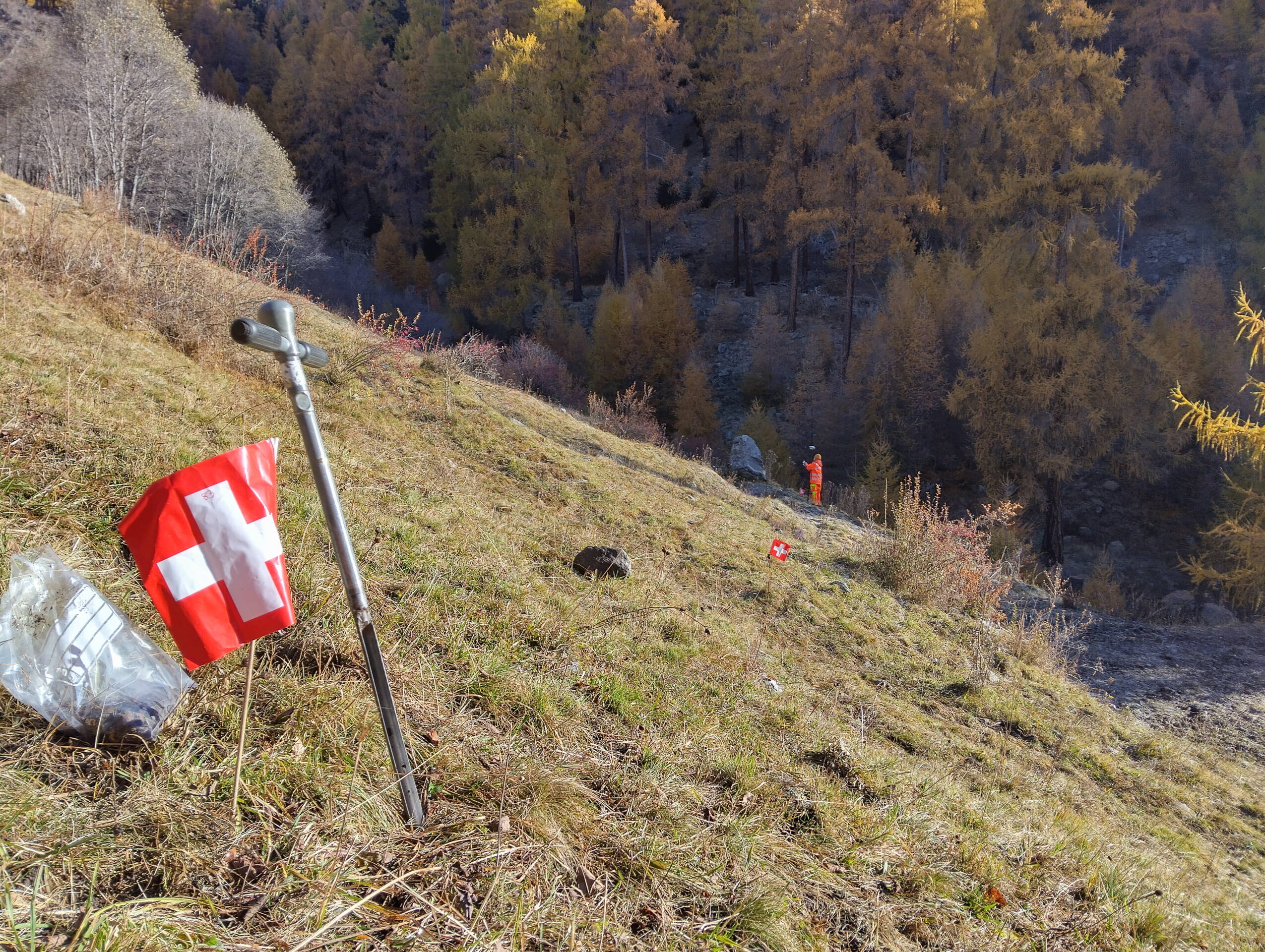 An jedem Punkt wird eine Bodenprobe entnommen und mit dem XRF-Gerät vor Ort analysiert. 