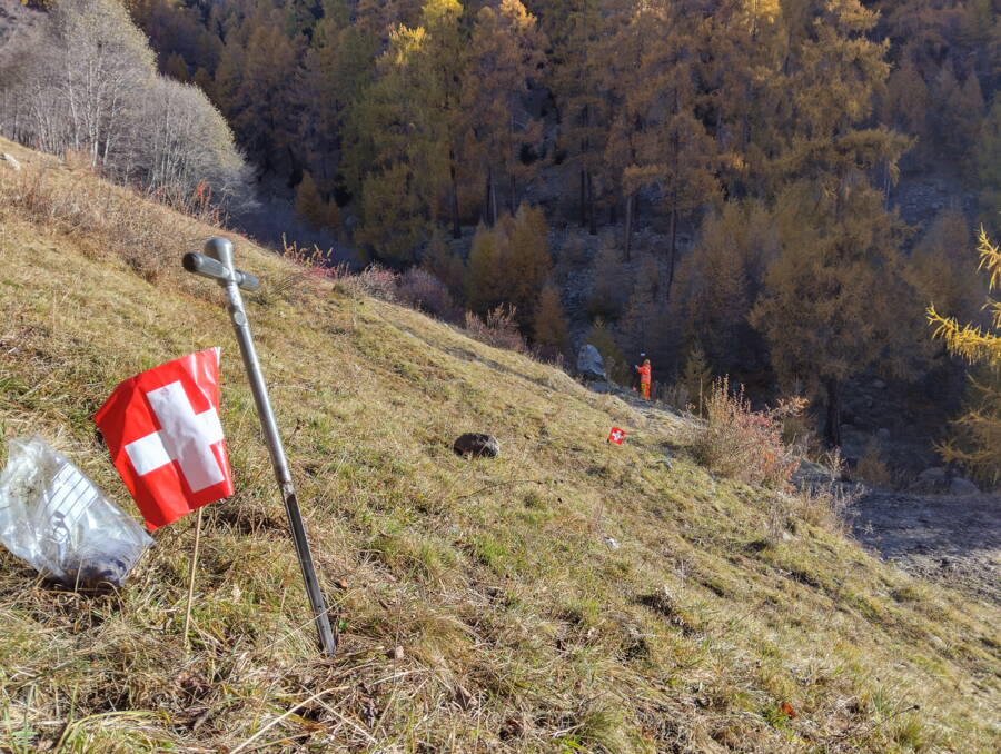 An jedem Punkt wird eine Bodenprobe entnommen und mit dem XRF-Gerät vor Ort analysiert. 