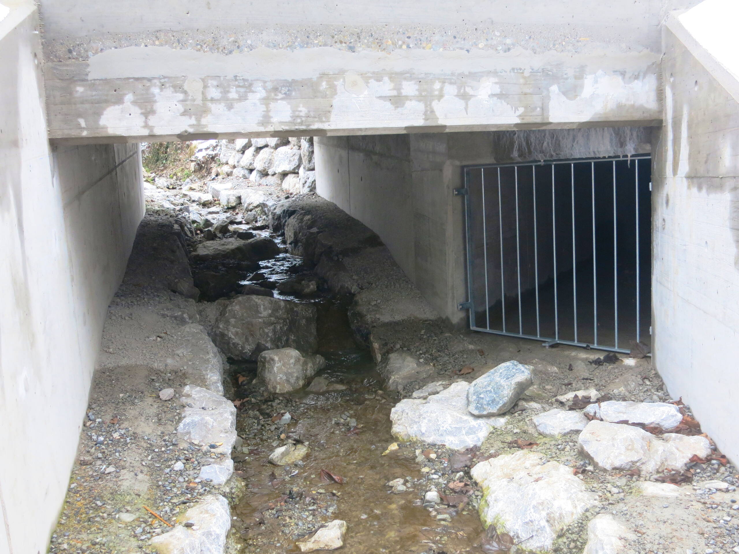 Auslaufbauwerk der Entlastungsleitung (rechts) und neuer Durchlass Haldenbach (links). Blick gegen die Fliessrichtung.