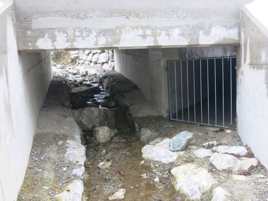 Auslaufbauwerk der Entlastungsleitung (rechts) und neuer Durchlass Haldenbach (links). Blick gegen die Fliessrichtung.