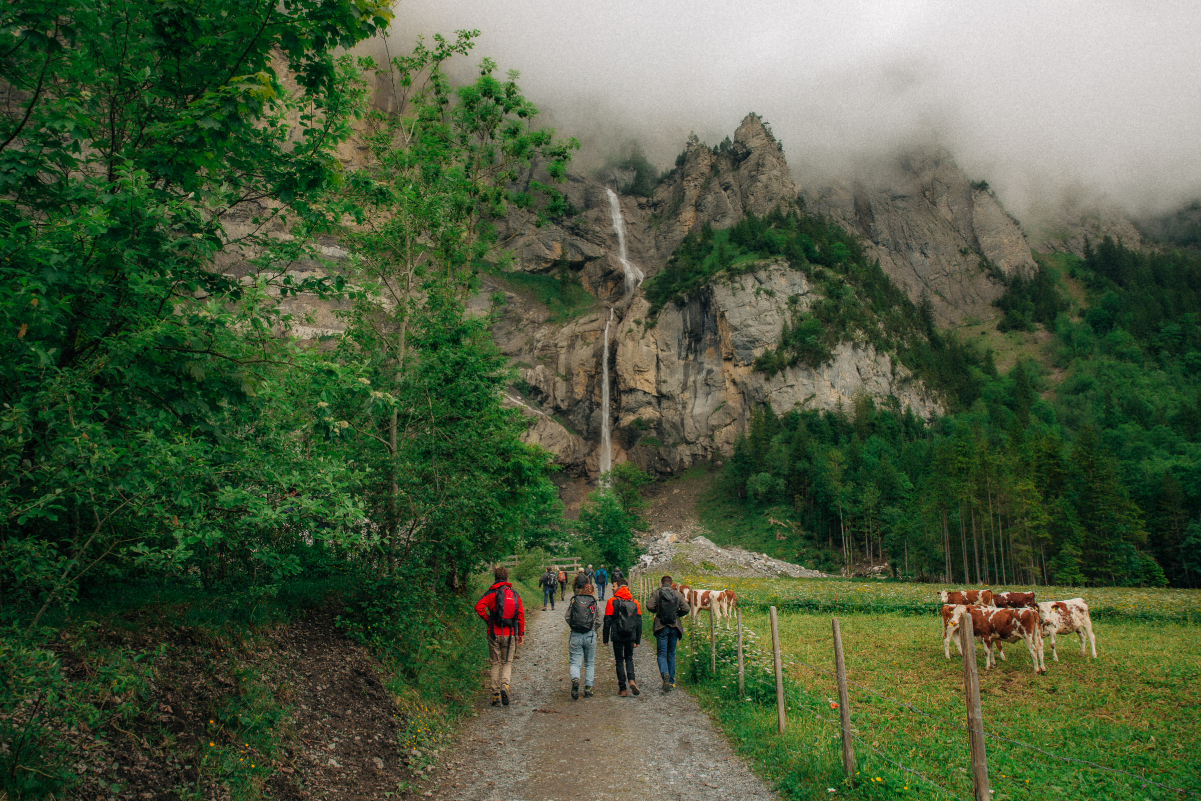 wb-messtechnik_2025_web-63.png Schon von Weitem sieht man den tosenden Wasserfall.